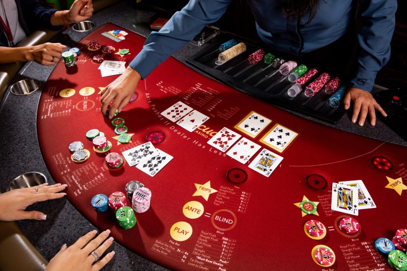 Live Action and Social Gambling Experiences